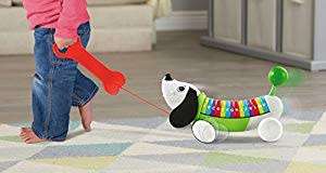 Leapfrog Green Alphapup