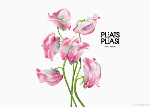 Issey Miyake Pleats Please EDT 100 ml