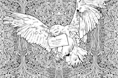 Harry Potter Colouring Book