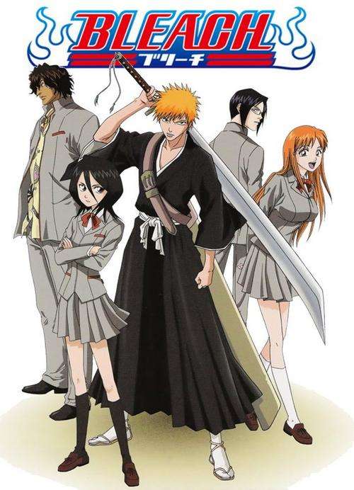 Bleach Anime TV Series (14 Disk DVD Set)