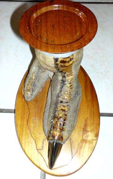 OSTRICH ASHTRAY