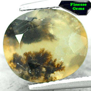 2.95 CT.NATURAL OVAL DENDRITE MOSS FERN TREE INSIDE HOLY WHITE FIRE OPAL