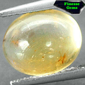 RARE GRADE NATURAL OVAL PERFECT INSECTS FOSSILS COPAL 1.51 CT.