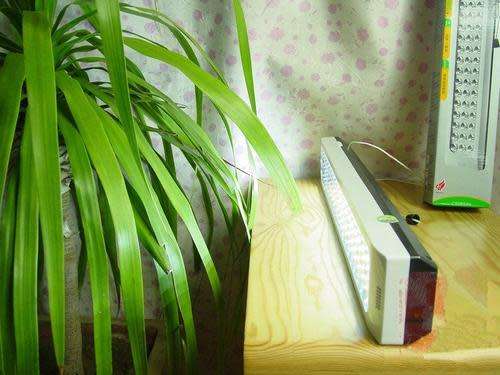 5W LED Rechargeable Emergency Light