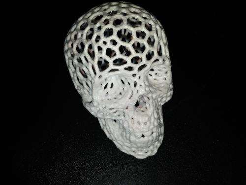 Skull (Voronoi style)