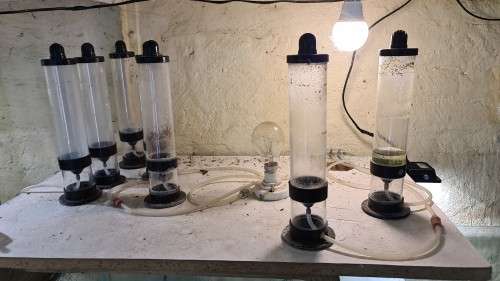 fish tanks setup