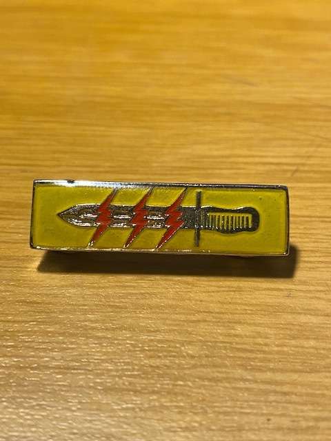 61 Meg Battalion Group Badge