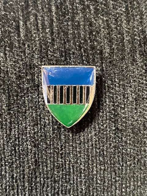 101 Battelion Small Badge