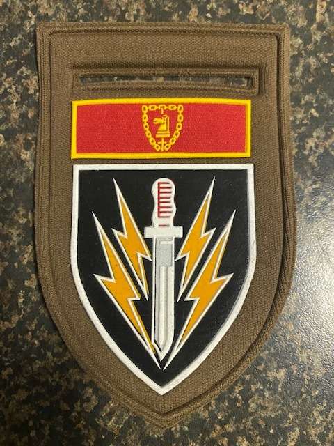 61 Meg Brigade left shoulder flash