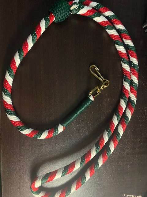 Intelligence Lanyard