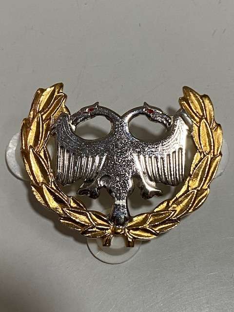 S.A. Airforce Protection Badge
