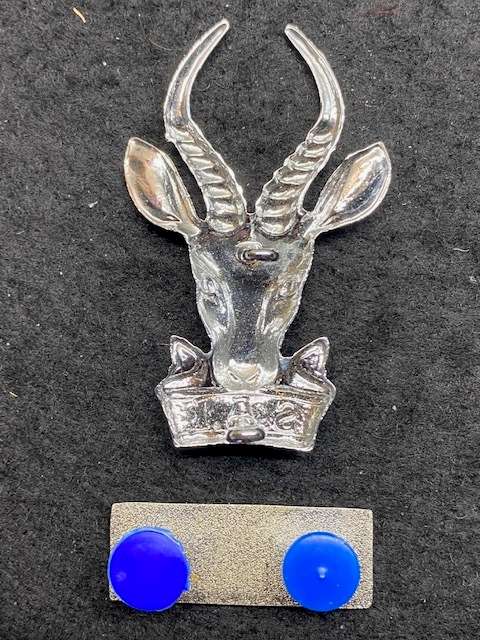 South Africa Special Forces Badge and Beret Bar.