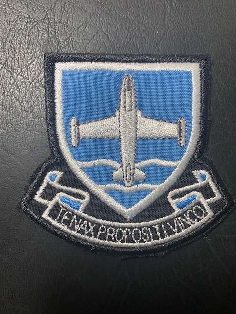 Flight Training School Langebaan Patch