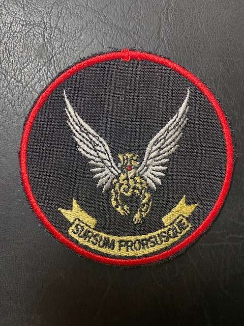 2 Squadron Post Bush War Patch.