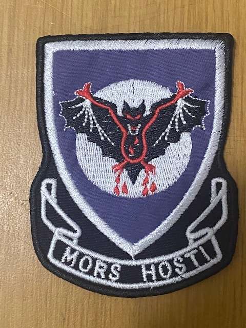 4 Squadron Air Crew Patch Org not used