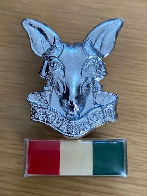S.A Intelligence Corps cap badge and Bar all pins