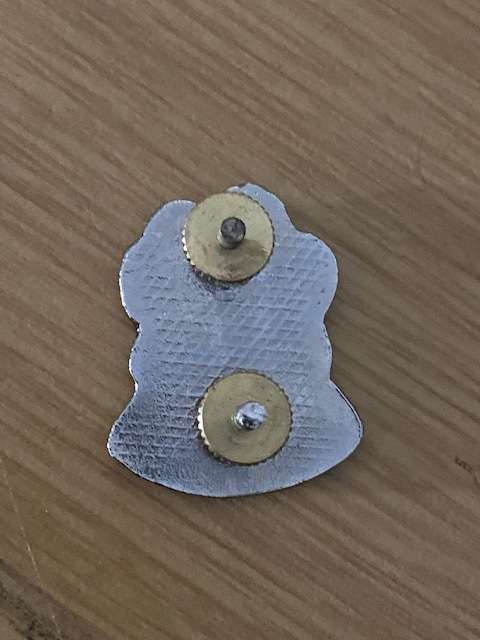 Kruger National Park Unit Cap Badge