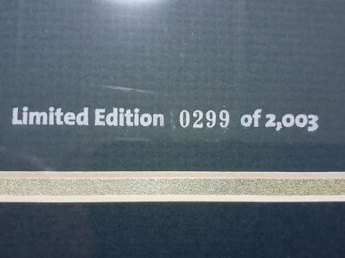 ICC Cricket World Cup SA 2003 Mascot Medallion Collection - Limited collector's edition