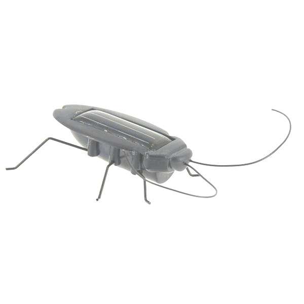 CRAZY COCKROACH