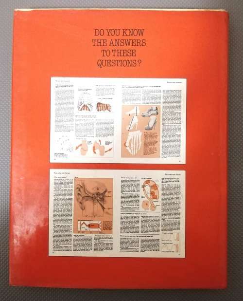Everything your doctor would tell you if he had the time by Claire Rayner. Hardcover 1980.