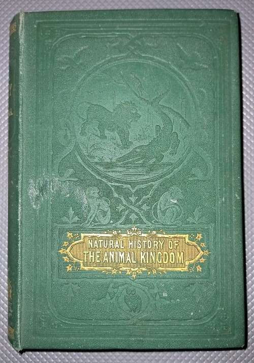 Natural History of The Animal Kingdom. Hardcover. 1865