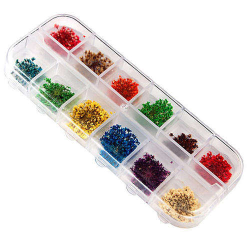 12 COLORS DRIED FLOWERS FOR NAIL ART & CRAFTS