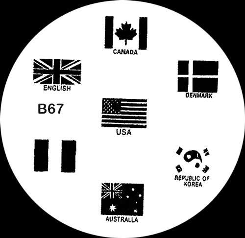 Nail Art Image Stamping Plate For Nails