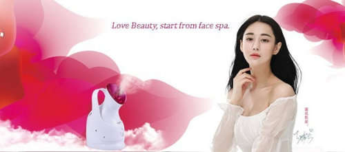ionic facial steamer