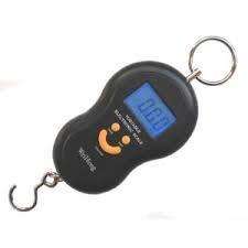 Portable electronic scale