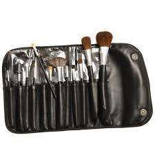 12 piece make up brush set in a case