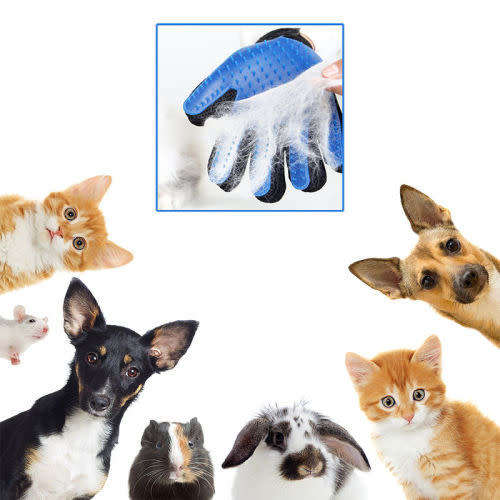 Pet Hair Removing And Massaging Glove