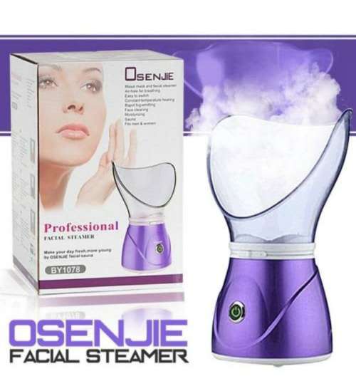 Professional Facial Steamers
