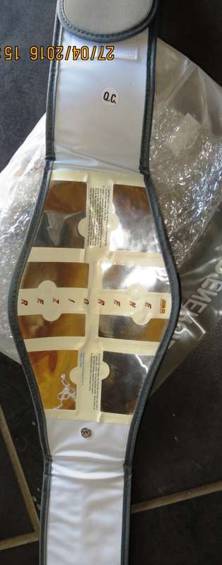 Ab Energizer - exercise by electrical stimulation