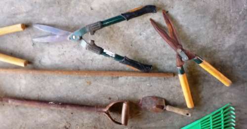 Assorted Gardening Tools - 13pcs   ***Restock your Garden Service***