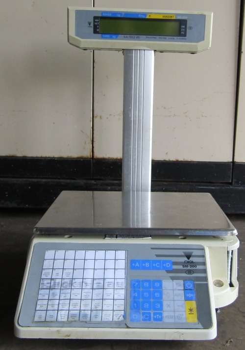 DIGI SM-300 Printing Scale