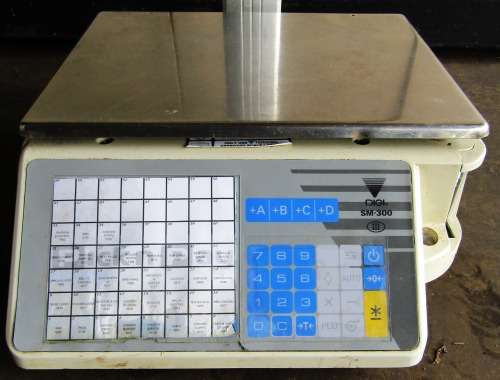 DIGI SM-300 Printing Scale