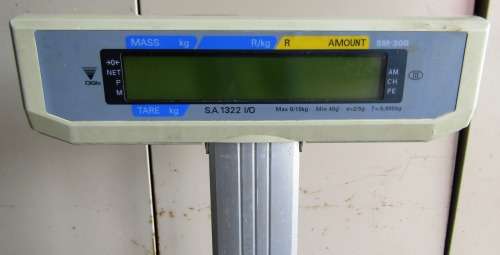 DIGI SM-300 Printing Scale