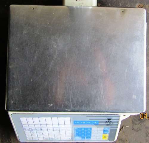 DIGI SM-300 Printing Scale