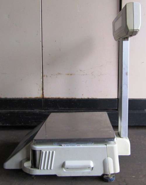 DIGI SM-300 Printing Scale