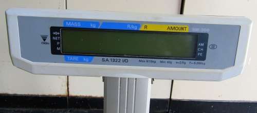 DIGI SM-300 Printing Scale