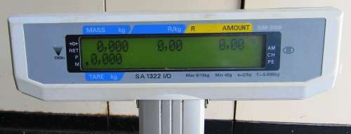 DIGI SM-300 Printing Scale