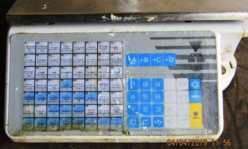 DIGI SM-300 Printing Scale
