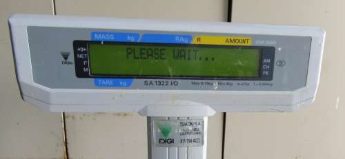 DIGI SM-300 Printing Scale