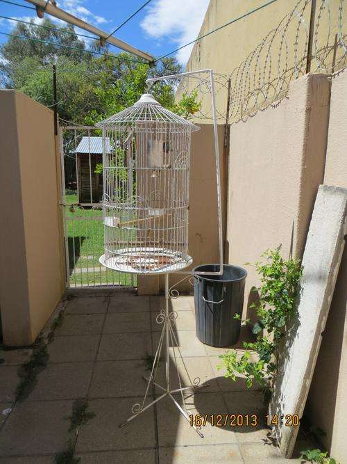 Parrot Cage