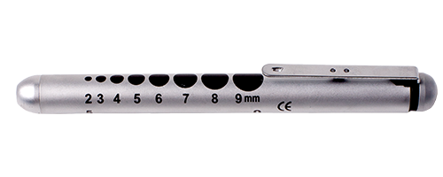 Pupil torch with Pupil Gauge