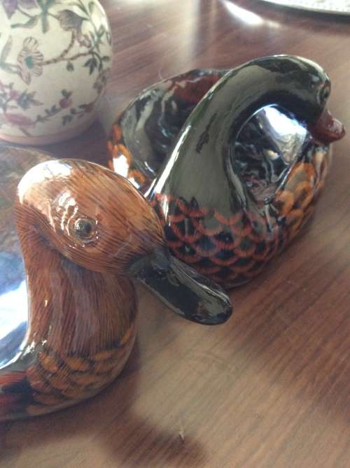 A pair of Duck Bowls