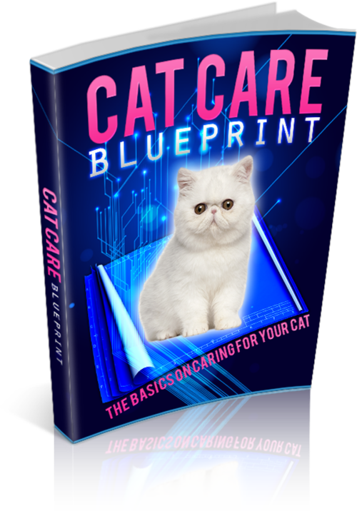 Cat Care Basics For Beginners - *No Shipping Fee*  Ebook