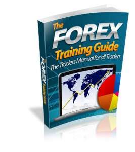 The Forex Guide For Beginners - *No Shipping Fee*  Ebook