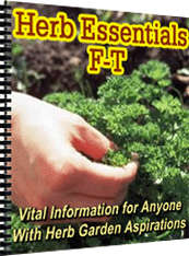 Guide To Herb Essentials-  *No Shipping Fee*  Ebook