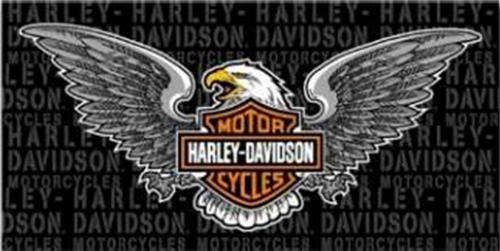 HARLEY DAVIDSON  Beach Towel - 100% Original Cotton and Brand